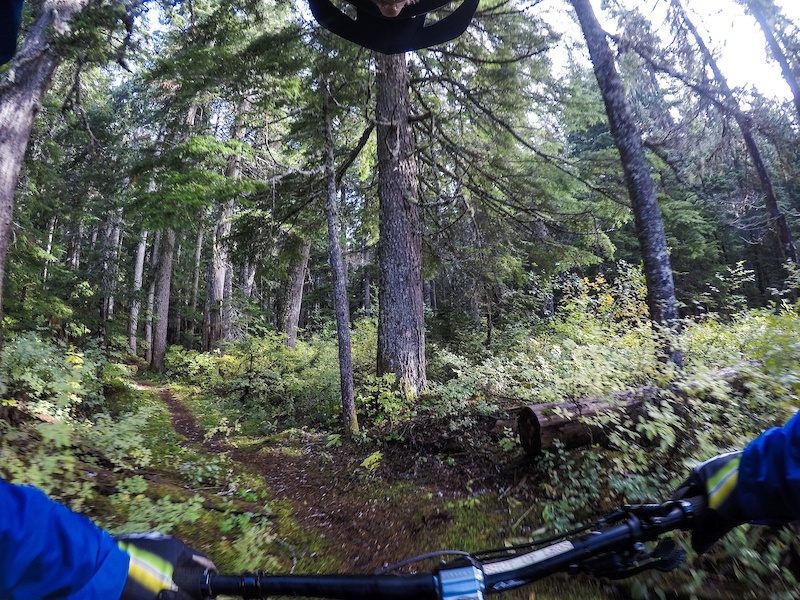 Jake Lake East Mountain Biking Trail Whistler, BC
