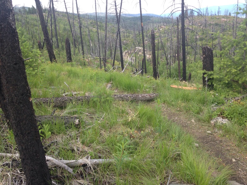 Hillbilly Mountain Biking Trail Kelowna, BC