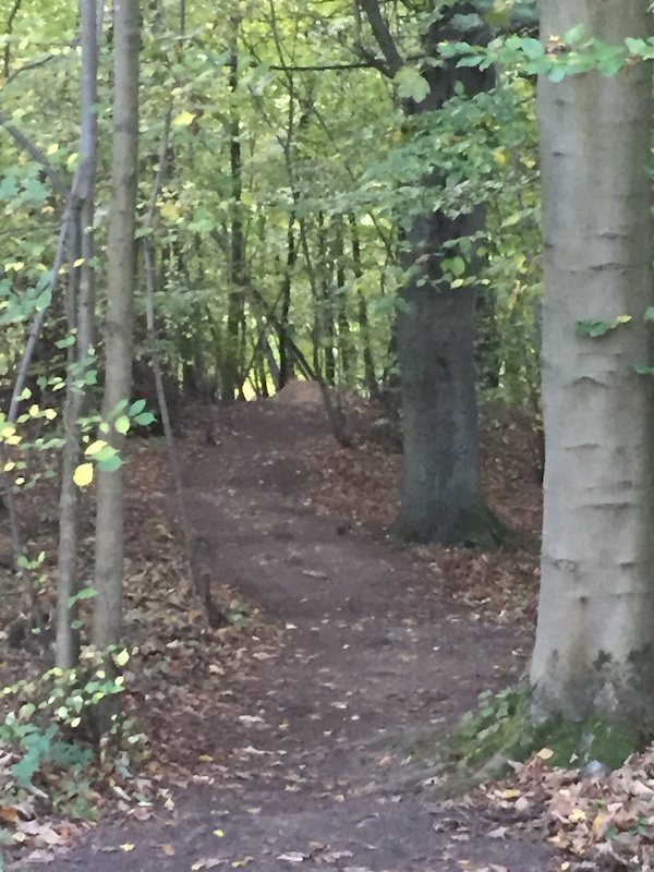 wendover woods mountain biking