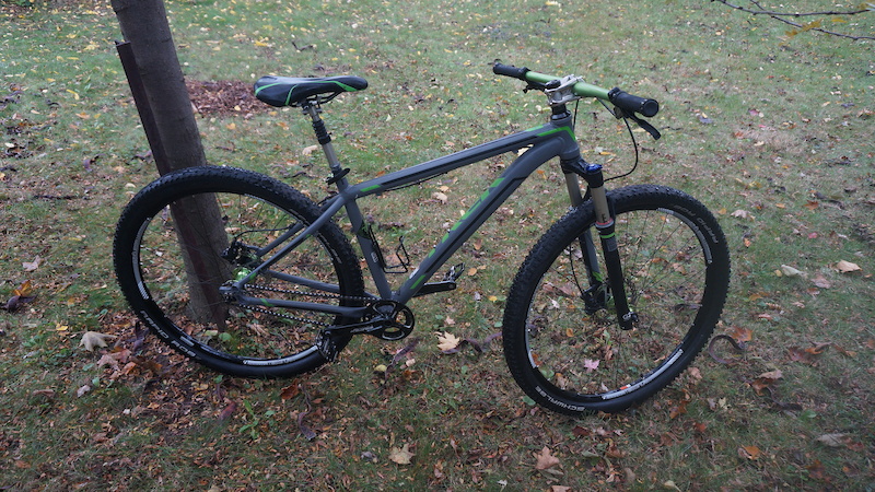 trek rig 29er