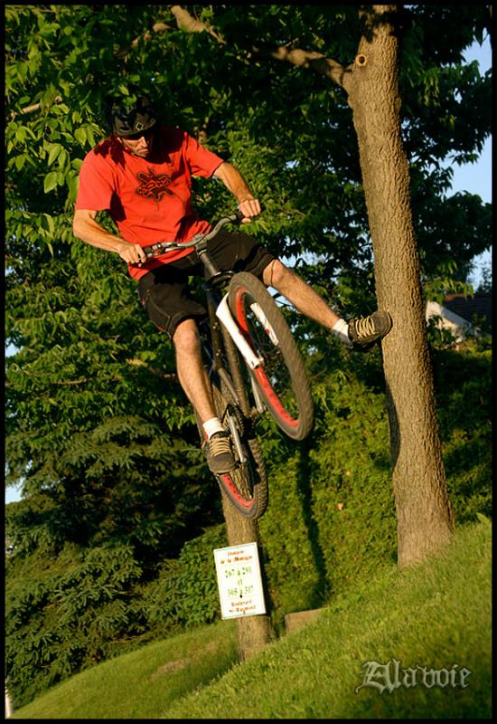 Footplant on tree. - Transition Trail Or Park Review - Coming soon on www.asilvertouch.com