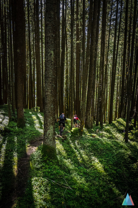 photo: outsideisfree.ch / Armin Wurmser

Loamy trail in Grindelwald
