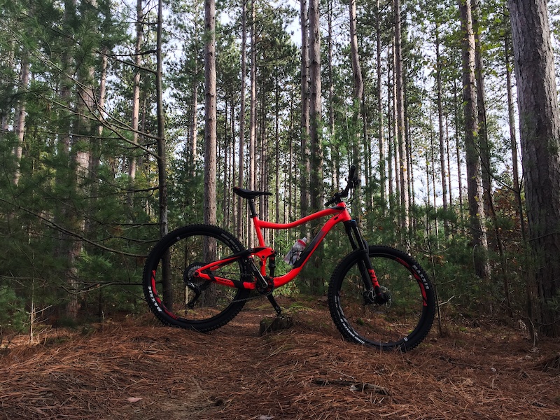 Turkey Point Mtb The Burn Mountain Biking Trail - Turkey Point, ON