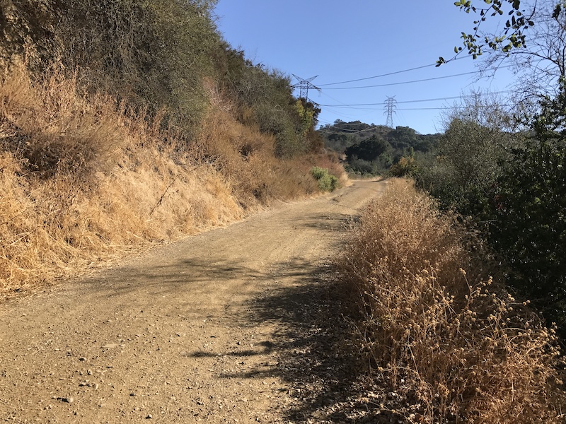 Coyote Ridge Multi Trail - Cupertino, California