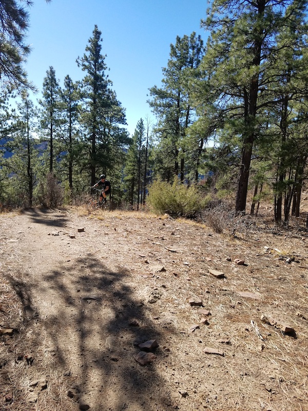 Twin Buttes Mountain Biking Trail - Durango, Colorado