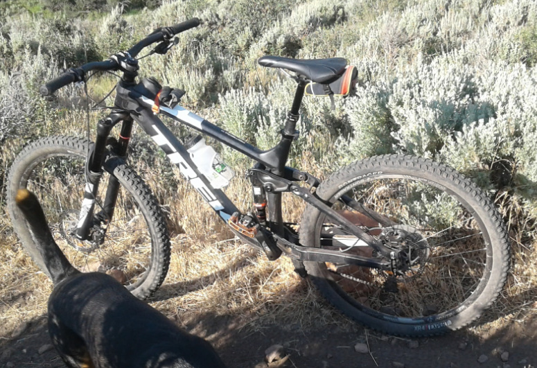 trek remedy 8 18.5