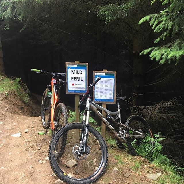 Getting a taste of the new trail up Glentress so fast and rad with 21 turns of goodness !
#scotland