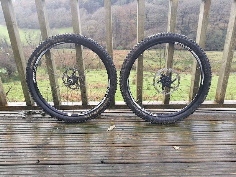 maxxis 1.95 tires