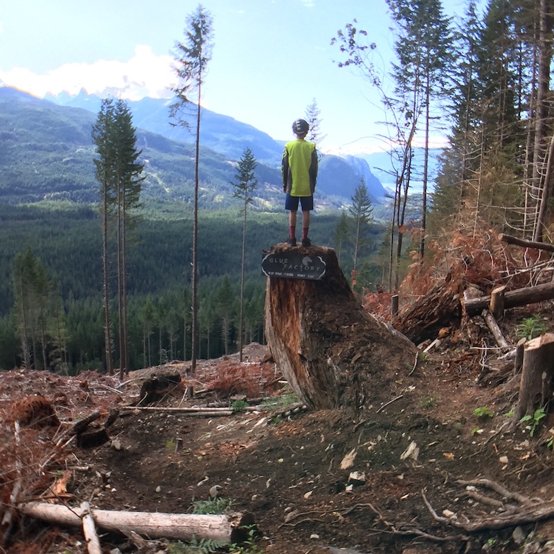 Glue Factory Mountain Biking Trail - Squamish, BC