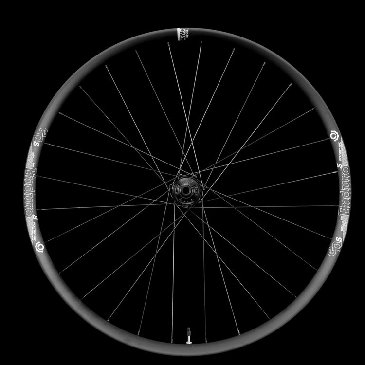 The EnduroS Wheels 
Steel spokes and in any color you want as long as it's black,.