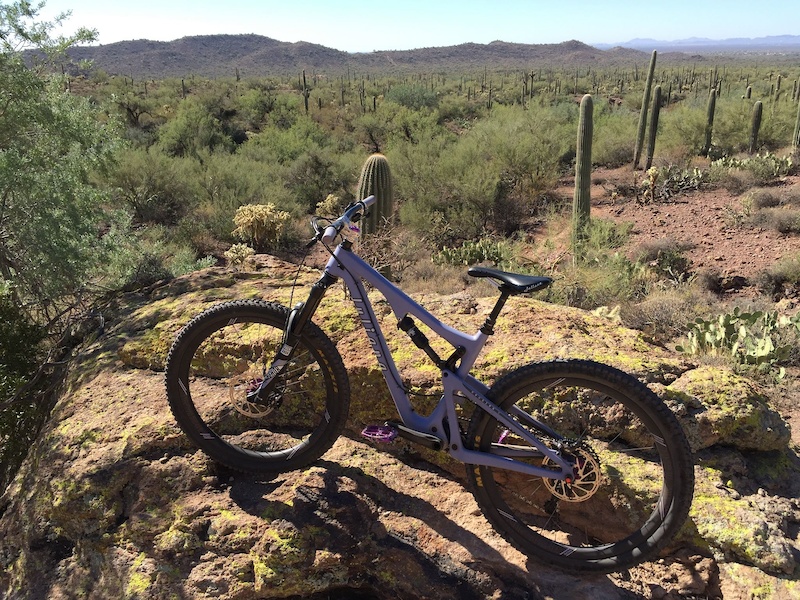 2016 juliana roubion