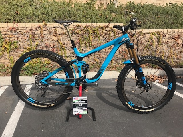 giant reign custom paint