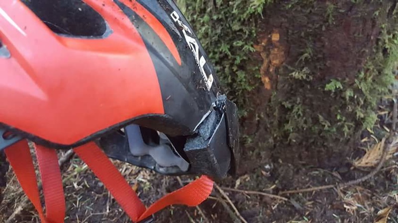 Helmet vs tree with my head in it. My first concussion!
