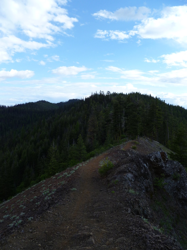 millers pond mountain biking