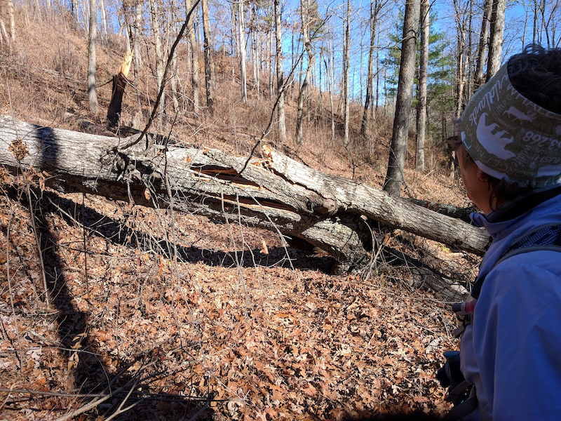 Branch Multi Trail Hendersonville, NC