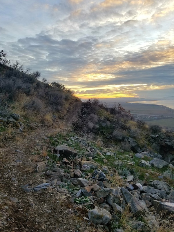 BST (Willard) Mountain Biking Trail Brigham City, Utah