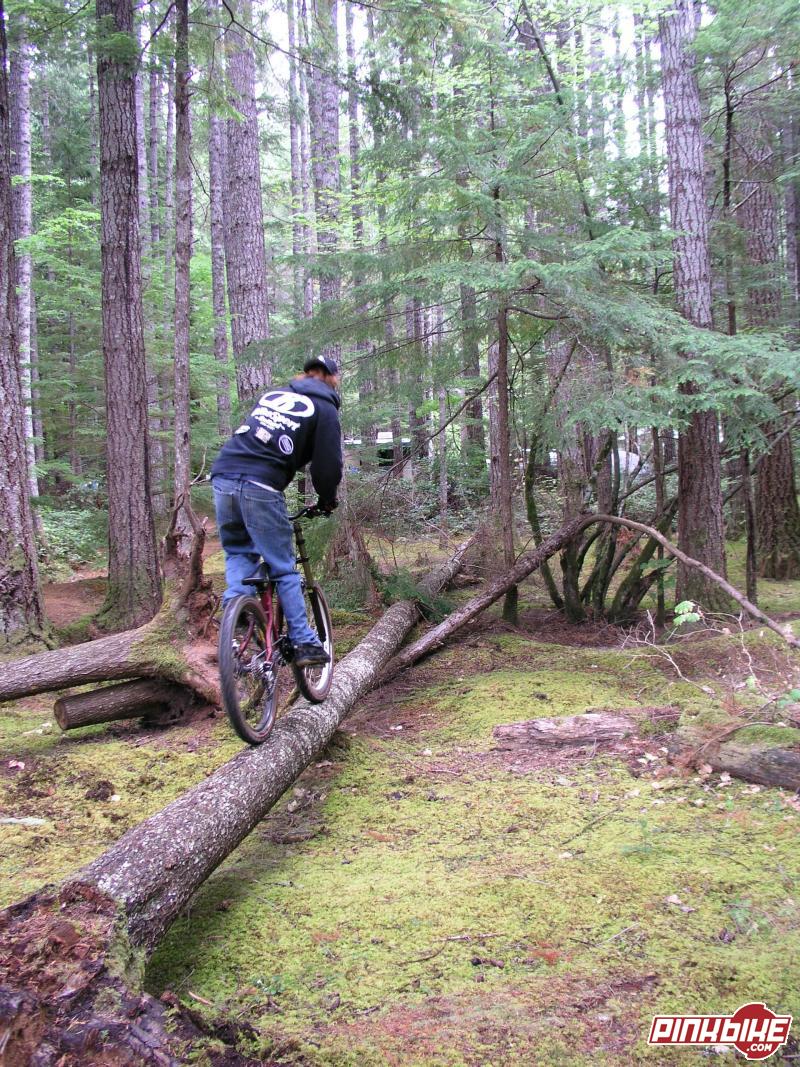 Campground Trail Mountain Biking Trail Coupeville