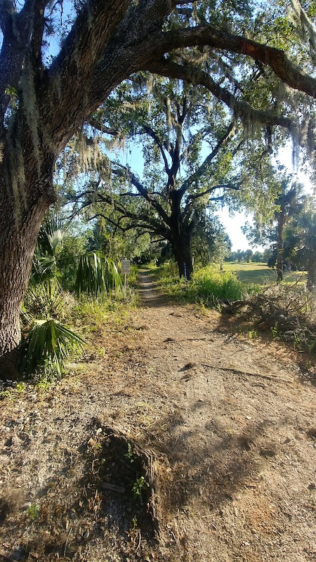 alva mountain bike trail