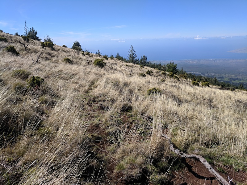 Upper Waiakoa Mountain Biking Trail Kula, Hawaii
