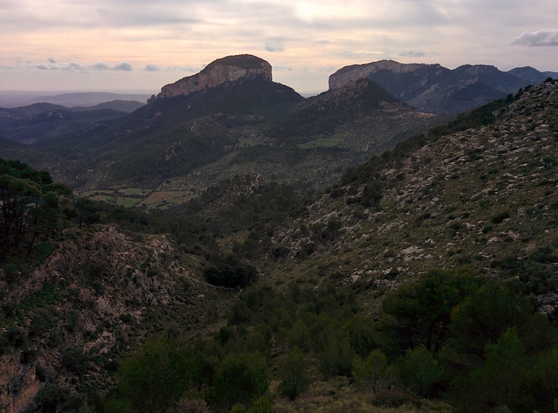 Wild side of Mallorca