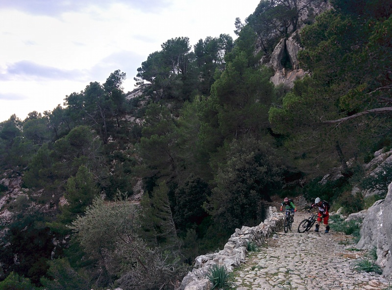 Wild side of Mallorca