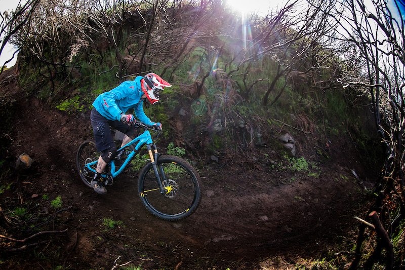 canyon torque pinkbike