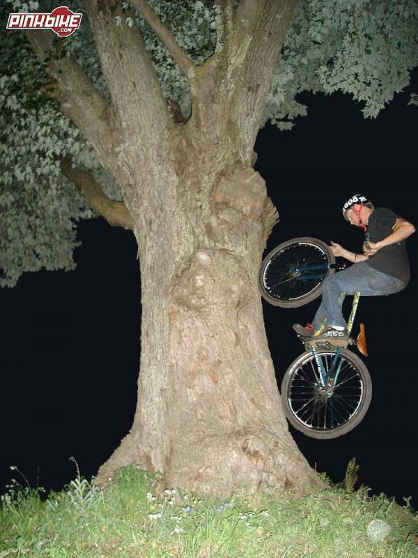 Ryans tree ride I eddited. I took out all the splotches and changed the back sky to all black. Great riding Ryan That was a good night! oh the hospital!
