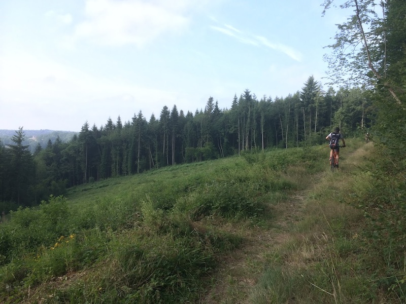 Les Amis de la Thylère Mountain Biking Trail