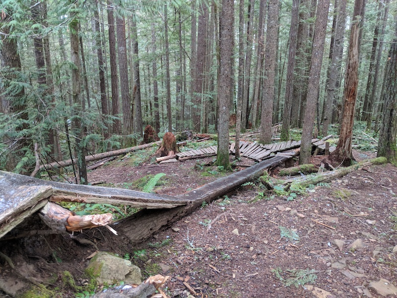 Tied Knot Hiking Trail - Cumberland, British Columbia