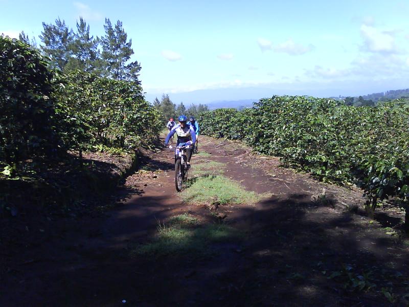This is ridding thru a coffee plantation...nice trails here