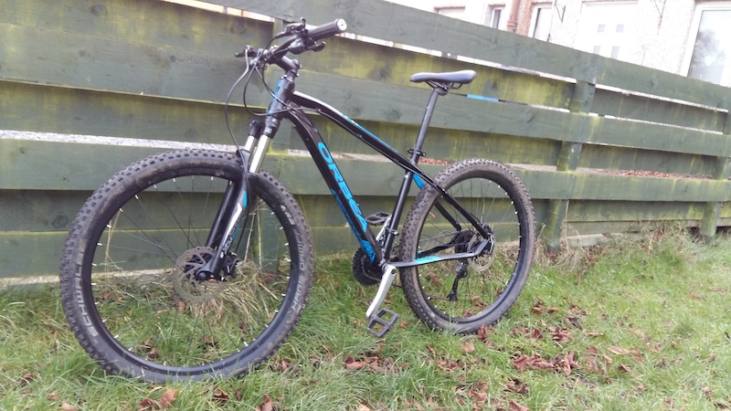 orbea mx 50 for sale