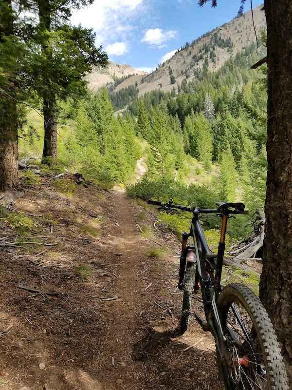 The Grinder Mountain Biking Trail Ketchum, Idaho