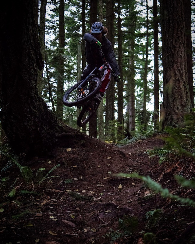 Bunny Trails Mountain Biking Trail Bellingham, WA