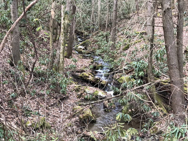 bear creek mountain bike trail map