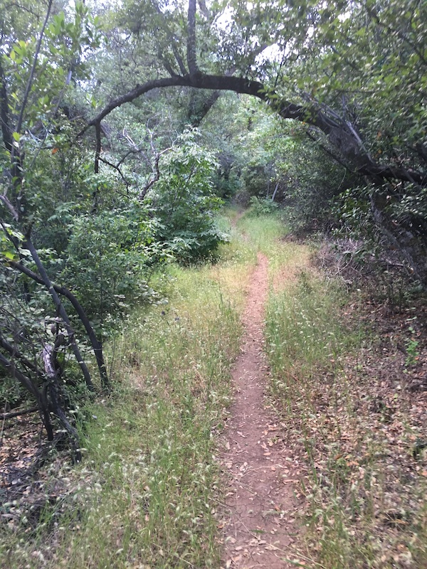 Yahi Trail Hiking Trail Chico, California Trailforks