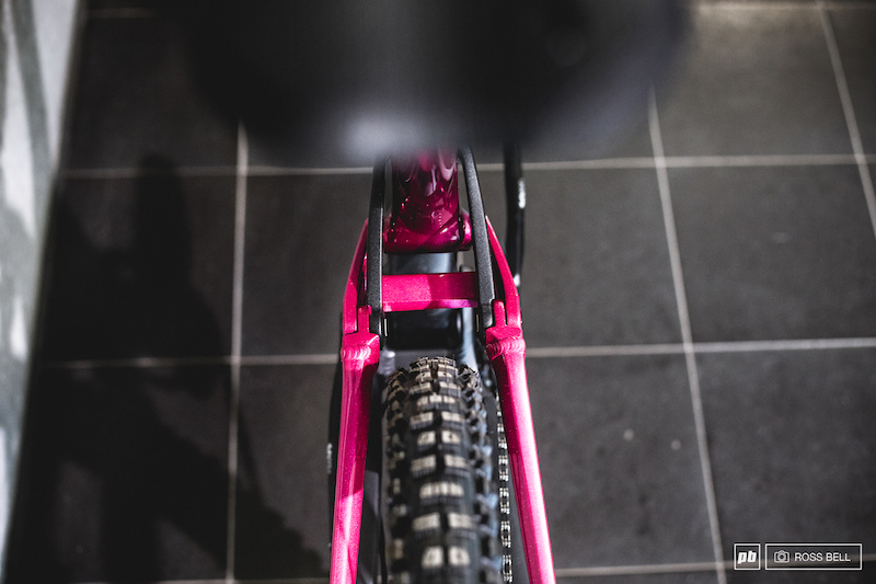 canyon torque pink