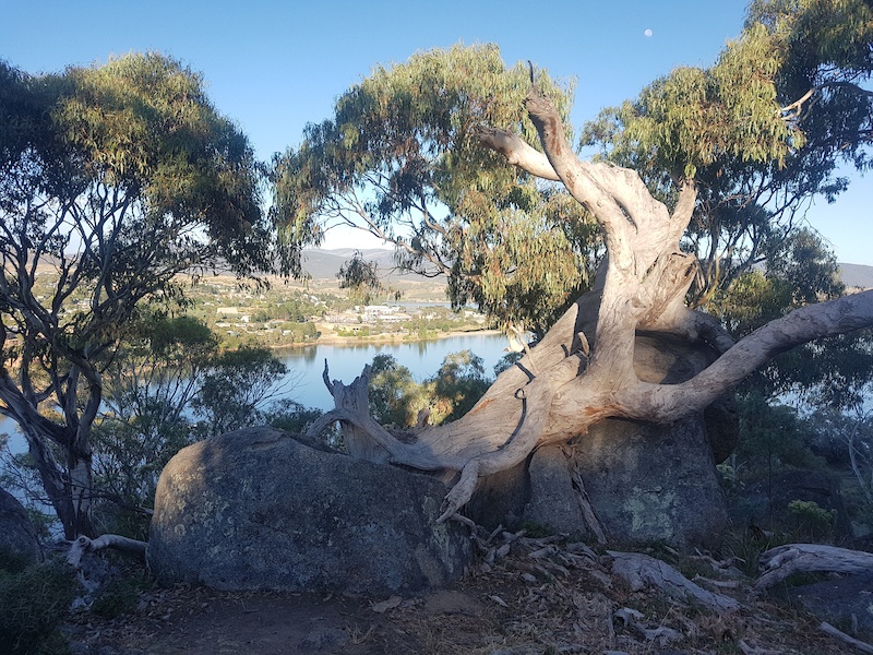 mill creek mtb trails