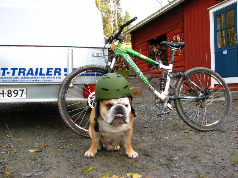 My dog Bosse went out for a ride...