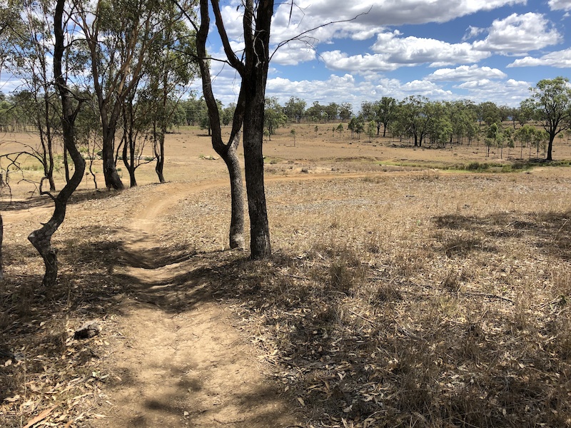 Maison Dieu Mountain Biking Trail Singleton