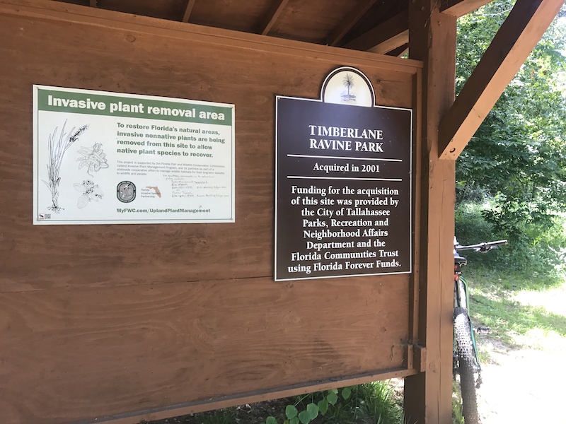 oak openings mountain bike trail