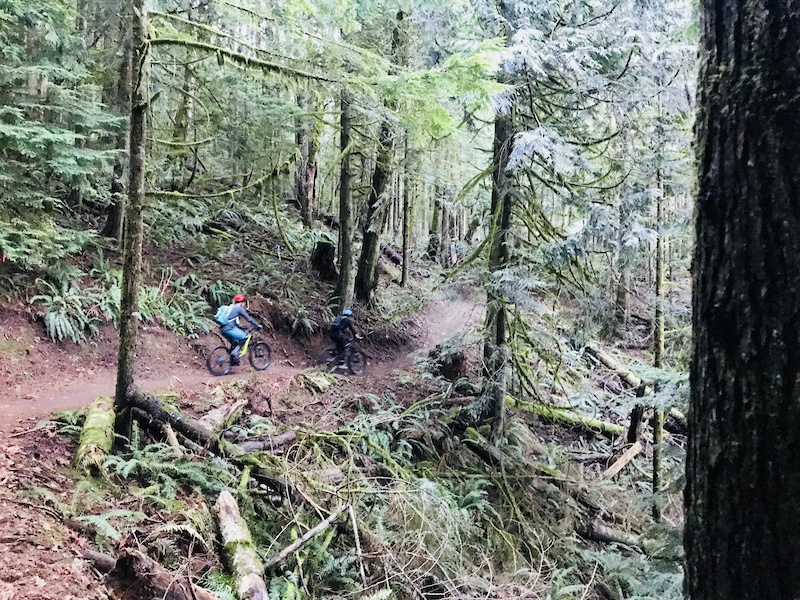 Olallie state park hot sale mountain bike trail