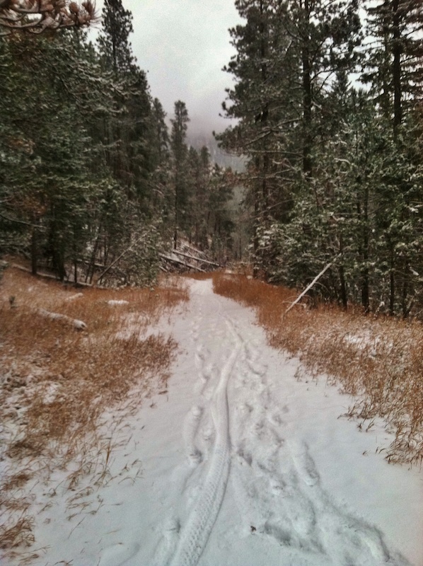 Little Elk Creek Trail Mountain Biking Trail Sturgis