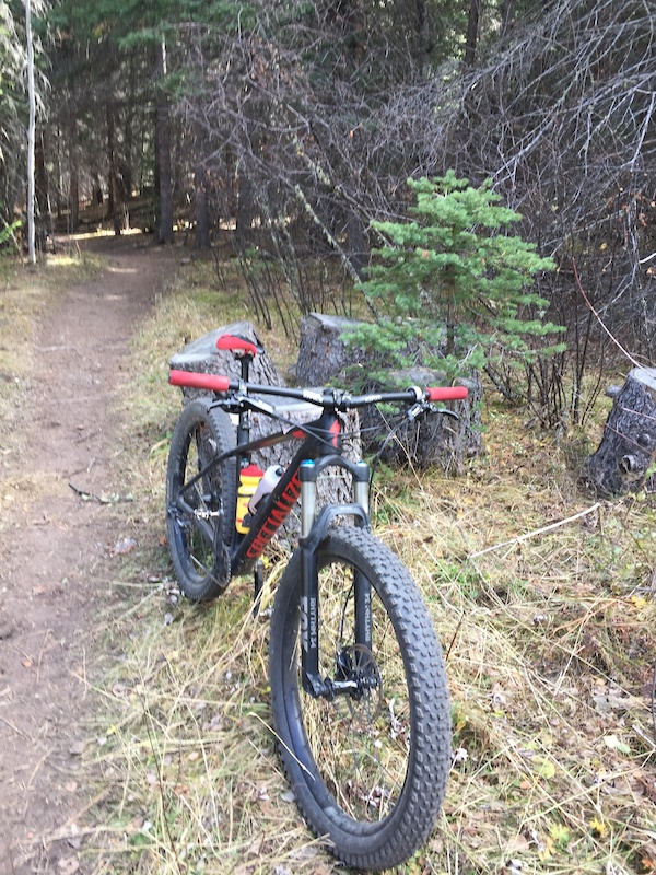 Lion Gulch Trail Mountain Biking Trail - Estes Park