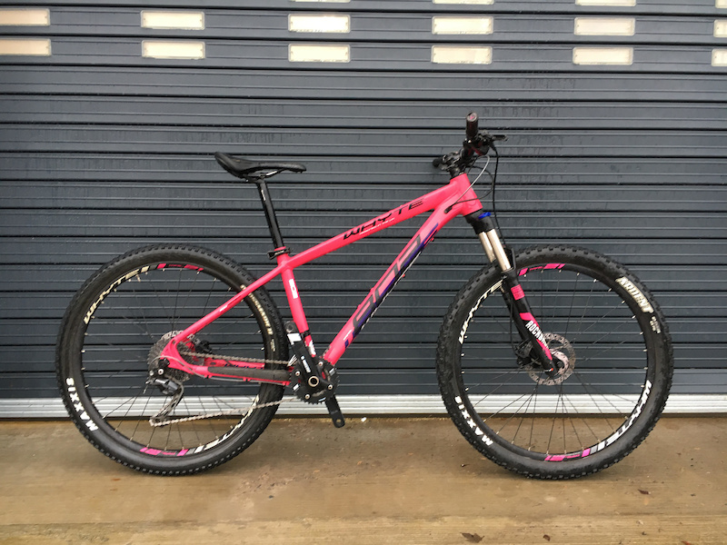 whyte 802 compact 2017