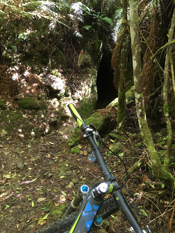 Tunnels Mountain Biking Trail Hokitika Trailforks