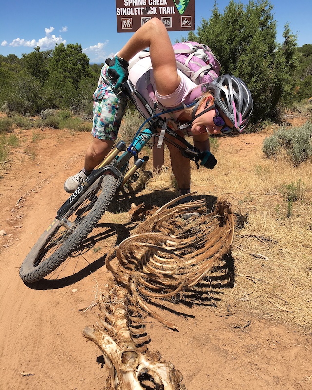 sprague brook mountain biking