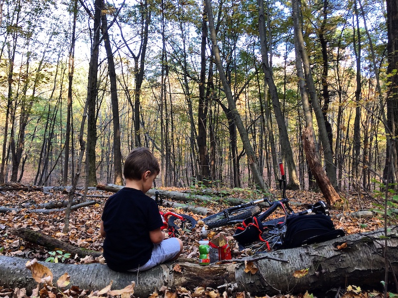 mohawk hudson bike trail