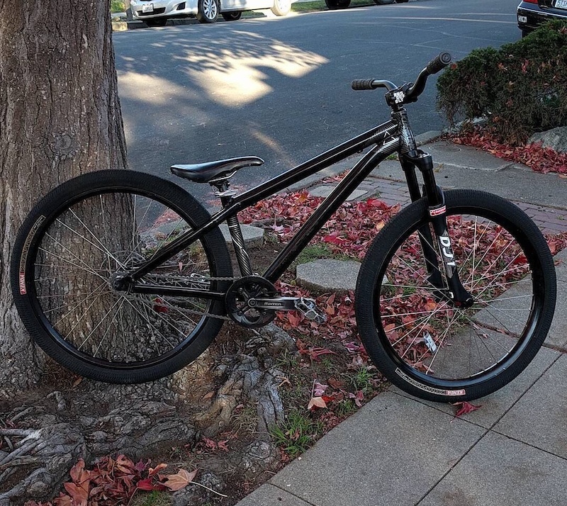 octane one zircus review