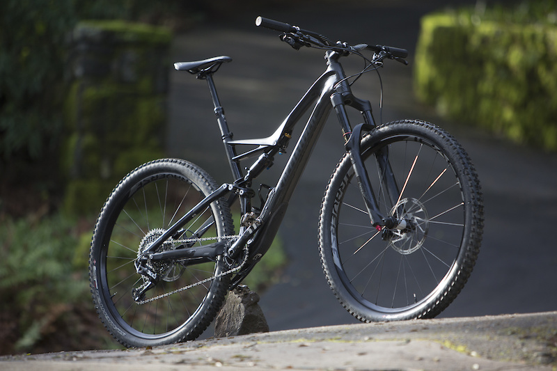 stumpjumper expert carbon 29 2020 weight