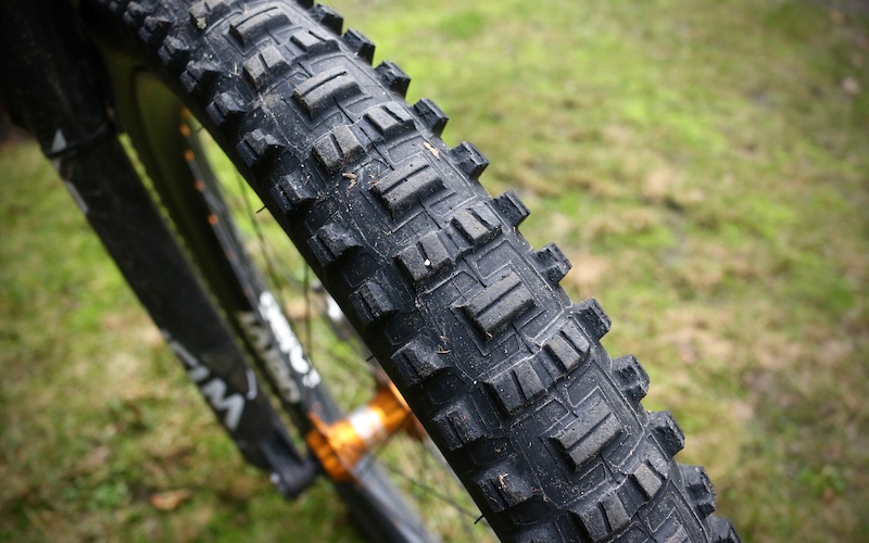wilderness trail bikes tires